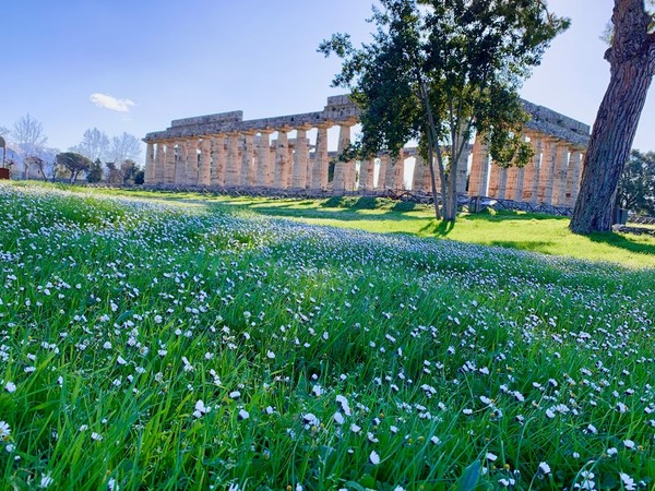 Santuario Meridionale, Parco archeologico di Paestum