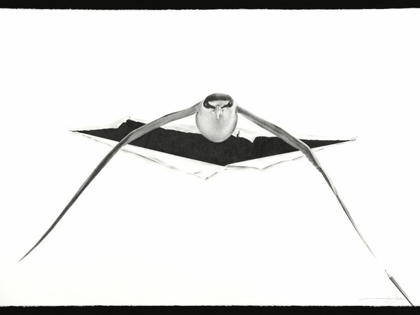 Massimiliano Galliani, Attraverso #4, 2019, matita su carta fabriano, cm. 70x100