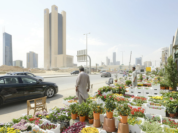 Michele Nastasi, Plant Souk, Riyadh Arabia Saudita, 2017 