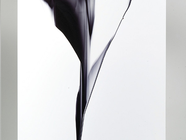 Giovanni Lombardini, Il fiore nero, 2014, tecnica mista su carta, legno laccato, corda d’acciaio, mollette, cm 70x55