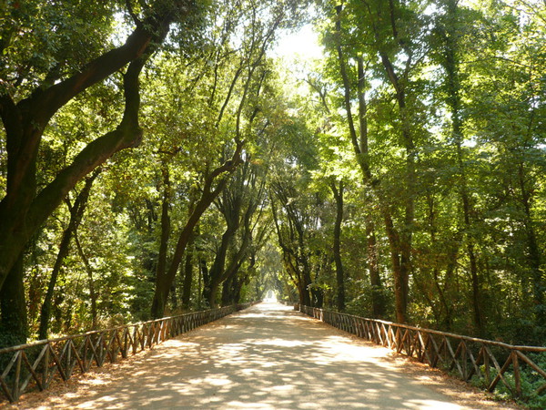 Parco di Capodimonte