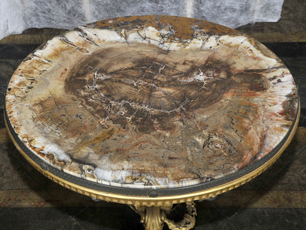 Coffee table with petrified wood