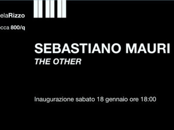 Sebastiano Mauri. The Other, Galleria Michela Rizzo, Venezia