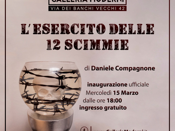 Daniele Compagnone. L’esercito delle 12 scimmie, Galleria Moderni, Roma