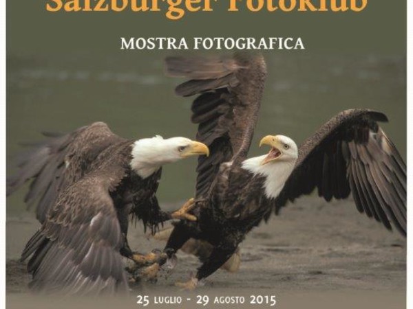 Salzburger Fotoklub