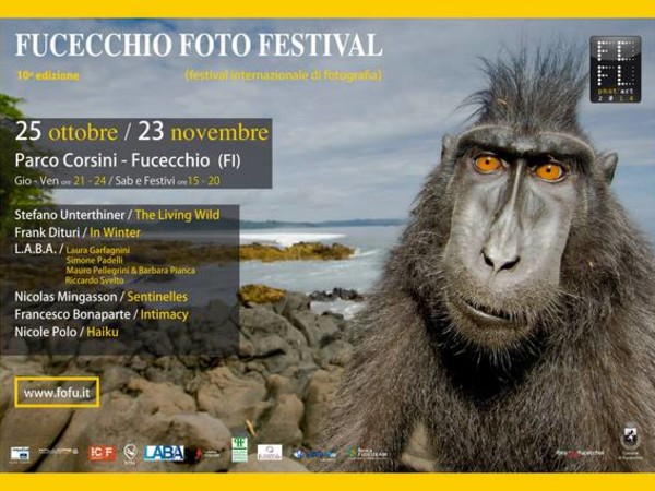 Fofu Phot'Art 2014, Museo Civico di Fucecchio (FI)