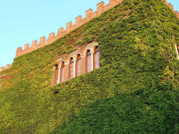 Castello Ginori di Querceto, Montecatini Val di Cecina (PI)