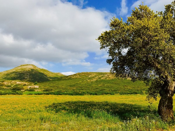 Le campagne di San Giovanni Suergiu