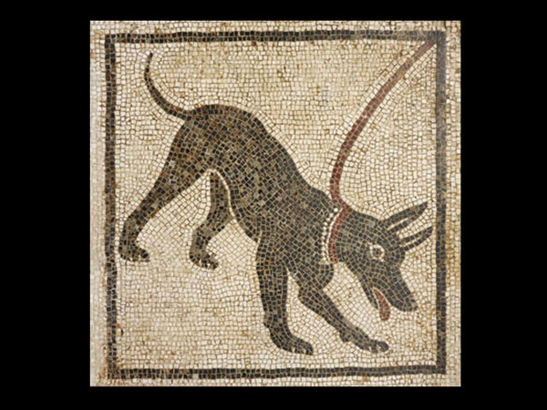 Mosaico di un cane da guardia, dalla Casa di Orfeo, Pompei, 1 secolo dC.  © Soprintendenza Speciale per i Beni Archeologici di Napoli e Pompei
