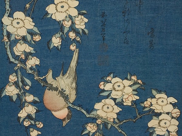 Hokusai, Bullfinch and Weeping Cherry, 1834