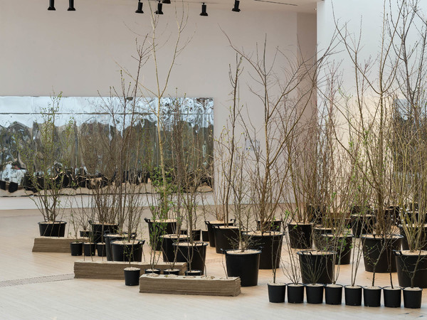 Foresta M9. Un paesaggio di idee, comunità e futuro, M9 - Museo del ’900, Venezia Mestre