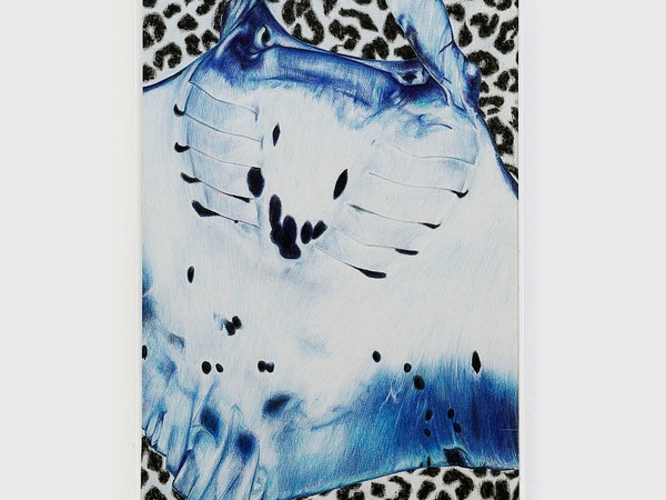 Catherine Parsonage, Manta ray