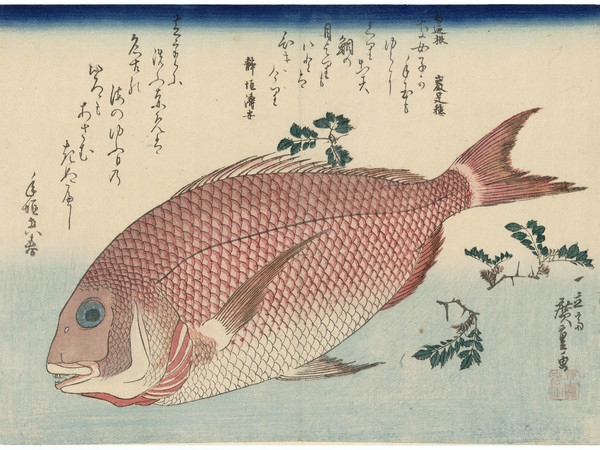 Utagawa Hiroshige, Pagro e pepe nero giapponese, 1832-33 circa, 265x370 mm., silografia policroma. Museum of Fine Arts, Boston. William Sturgis Bigelow Collection Utagawa Hiroshige, Pagro e pepe nero giapponese, 1832-33 circa, 265x370 mm., silografia policroma. Museum of Fine Arts, Boston. William Sturgis Bigelow Collection