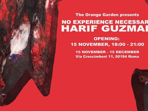 Harif Guzman, No Experience Necessary, The Orange Garden, Roma