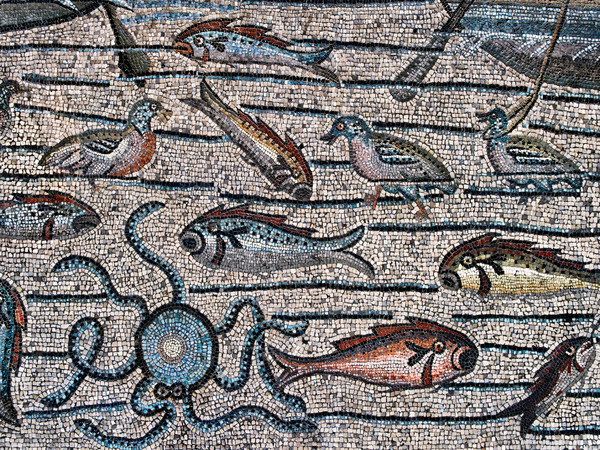 Dettaglio dei pesci nel mosaico dell'Aula Teodoriana Sud della Basilica di Aquileia | Foto: © Elio Ciol