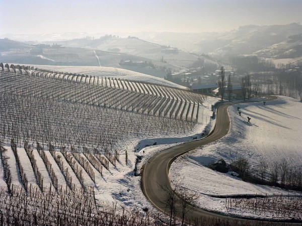 Gabriele Basilico, Langhe Piemonte, 2008