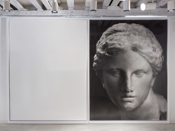 Akira Arita, <em>Tête d'Aphrodite</em>, matita su carta, 2014, foto di Enrico Fiorese, Galleria Marignana Arte, Venezia.