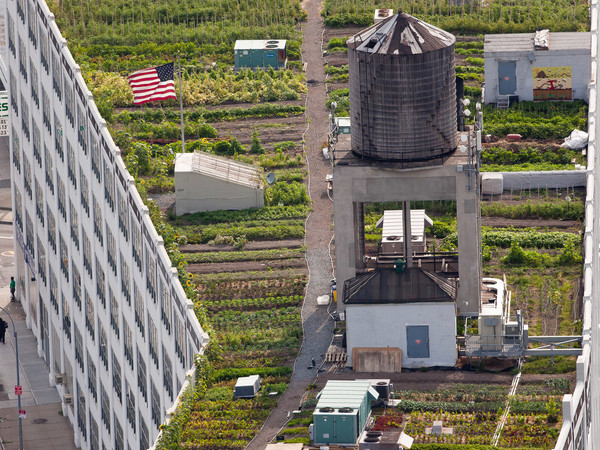 City after the City, Triennale di Milano