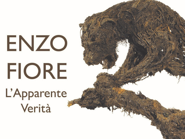 Enzo Fiore. L'Apparente Verità, Galleria d’Arte Moderna e Contemporanea Lorenzo Viani, Viareggio