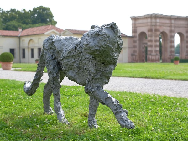 Davide Rivalta, Un sogno fatto a Mantova, Palazzo Te, Mantova
