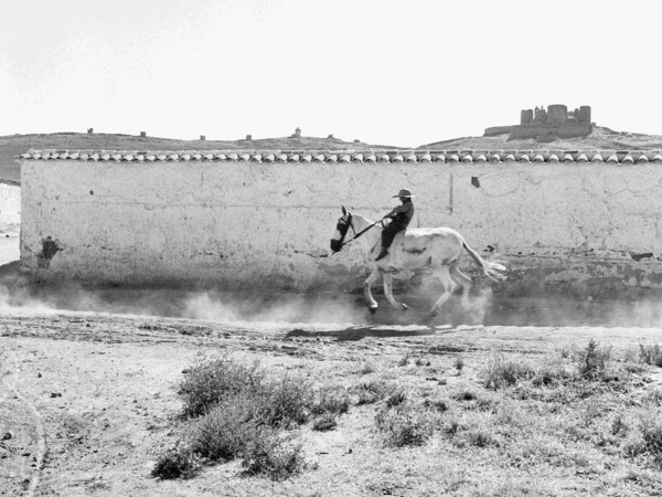 Piergiorgio Branzi, Cavaliere della Mancia, 1956 