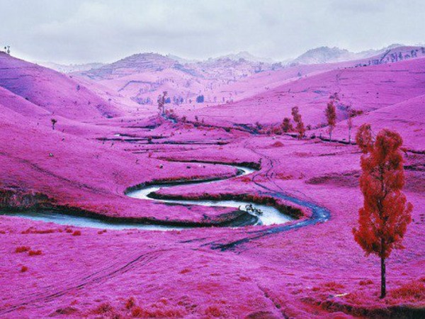 Richard Mosse, The Enclave, Fondaco Marcello, Venezia