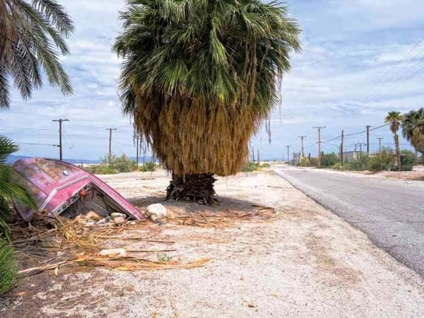 Emilio Andrés Codina, Consumismo e abbandono. Impatto dell’uomo nel suo habitat