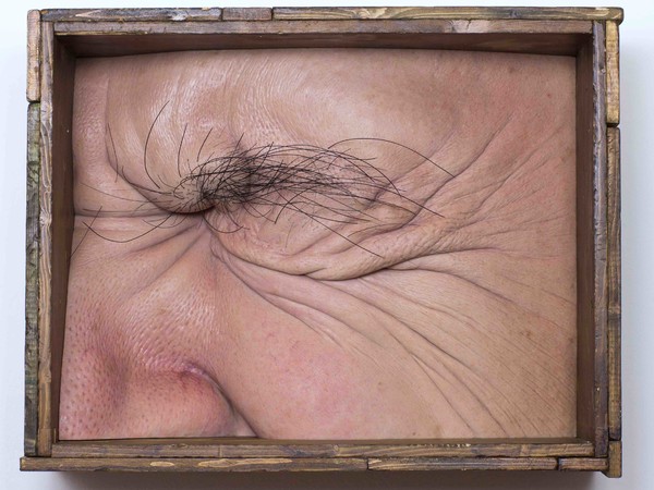 Valter Adam Casotto, Eye Box