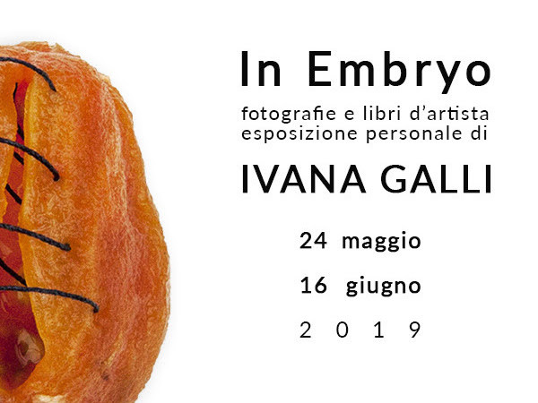 Ivana Galli, In Embryo, Spazio Thetis, Venezia
