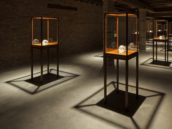 Sherrie Levine, <em>Crystal Skull</em>, 2010. Cast glass with glass vitrines © Sherrie Levine, Installation view at Punta della Dogana, 2013. Ph: © Palazzo Grassi, ORCH orsenigo_chemollo<br />