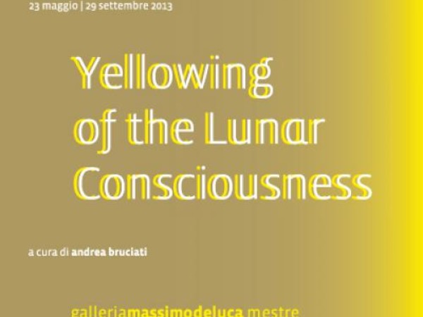 Yellowing of the Lunar Consciousness, Ca’ Bonvicin, Biennale d'arte di Venezia 2013
