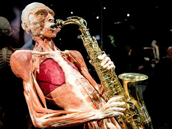 Body Worlds 2014, SET Spazio Eventi Tirso, Roma