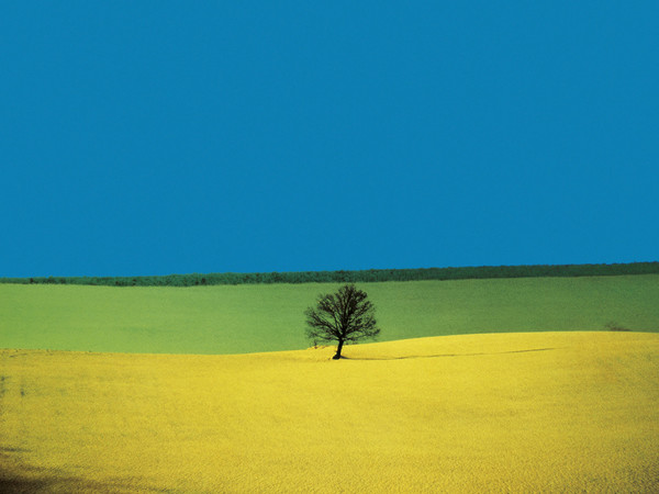 Franco Fontana, Puglia, 1987