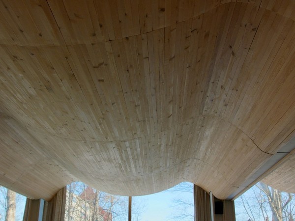 Roof of Vyborg library, a project of Alvar Aalto