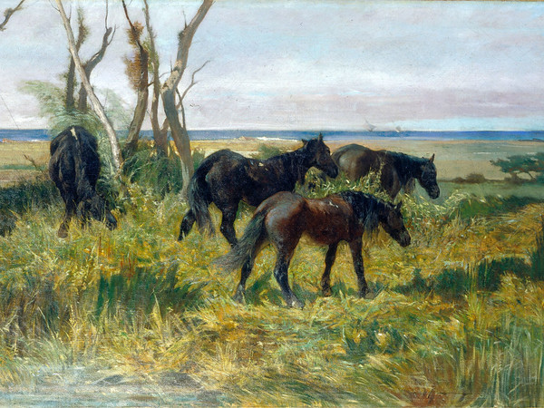 Giovanni Fattori, Cavalli al pascolo, 1872 ca., Olio su tela, cm. 88x176, Viareggio, Istituto Matteucci