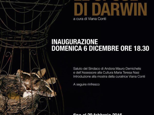 Carla Iacono. Le Spose di Darwin