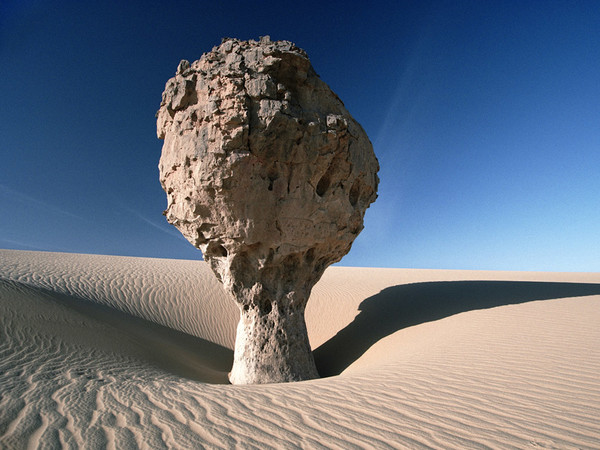 Una roccia a forma di fungo, singolare risultato dell’erosione eolica. Tassili Ahaggar, Algeria 1993