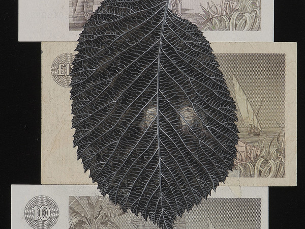 Fiona Hall, <em>Ulmus Glabra;</em> Scotch elm, from the series <em>When My Boat Comes In,</em> 2012. Gouache on banknotes, 25.3 x 16.7 cm. Courtesy of the artist and Roslyn Oxley9 Gallery, Sydney