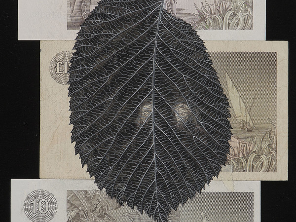 Fiona Hall, <em>Ulmus Glabra;</em> Scotch elm, from the series <em>When My Boat Comes In,</em> 2012. Gouache on banknotes, 25.3 x 16.7 cm. Courtesy of the artist and Roslyn Oxley9 Gallery, Sydney Fiona Hall, <em>Ulmus Glabra;</em> Scotch elm, from the series <em>When My Boat Comes In,</em> 2012. Gouache on banknotes, 25.3 x 16.7 cm. Courtesy of the artist and Roslyn Oxley9 Gallery, Sydney