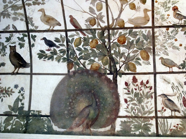 La volta della Stanza degli uccelli, (particolare con pavone), Villa Medici, Roma | © Wikimedia Commons Photo by Saiko 2013