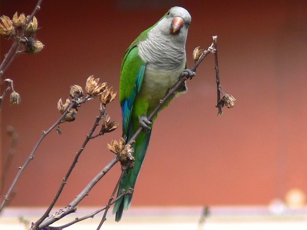 Museo di Zoologia … diverso per natura