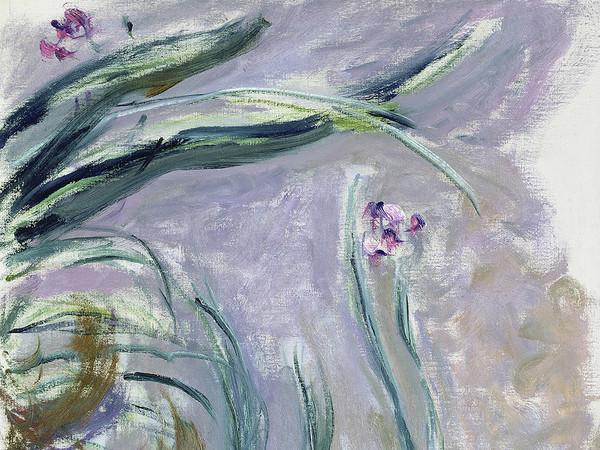 Claude Monet (1840 - 1926), Iris, 1924-1925 circa, Olio su tela, 105 x 73 cm, Parigi, Musée Marmottan Monet, Lascito Michel Monet, 1966 Inv. 5076 | © Musée Marmottan Monet, Académie des Beaux-Arts, Paris