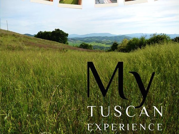 My Tuscan Experience. Feed Art Meet Art, iSculpture Gallery, San Gimignano (SI)