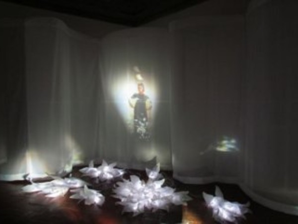 Federica Gonnelli. L'effimero colto dal velo d'organza, Palazzo Ducale, Genova