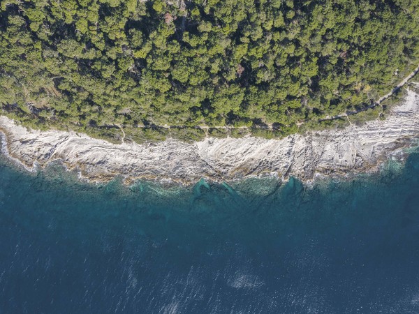 © Schirra e Giraldi dal progetto “Da pietra a bosco”