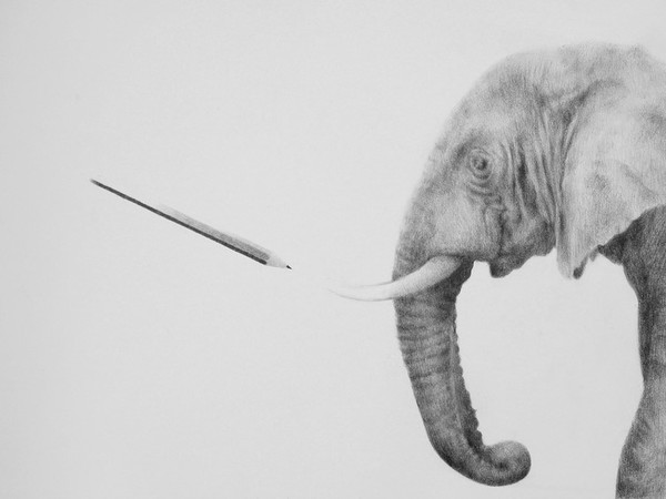 Massimiliano Galliani, disegno e matita, 2017, matita su carta, cm. 30x42