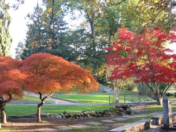 Parco del Valentino