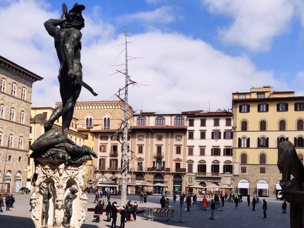 Giuseppe Penone, Abete, Piazza della Signoria, Firenze