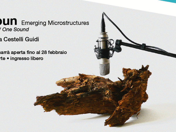 Zimoun. Emerging Microstructures