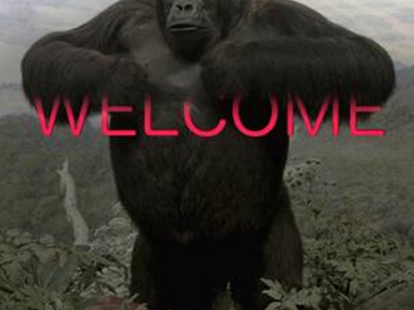 Patrick Tuttofuoco, Welcome Project , 2015